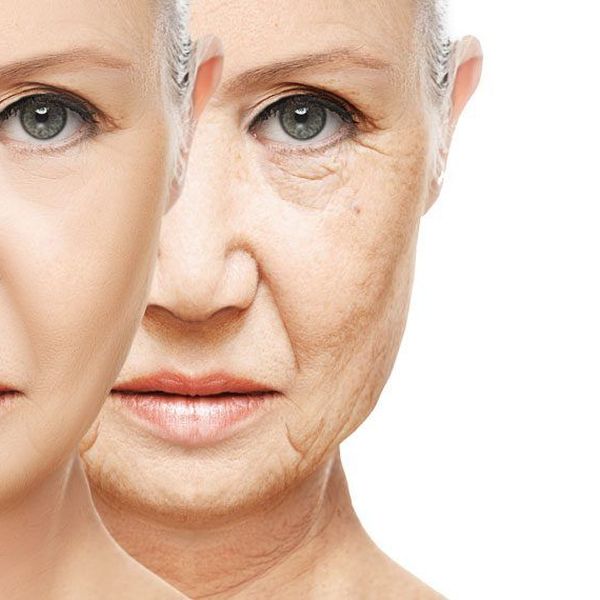 Research on Aging