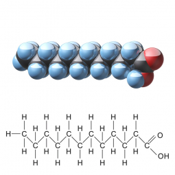 Essential Fatty Acids