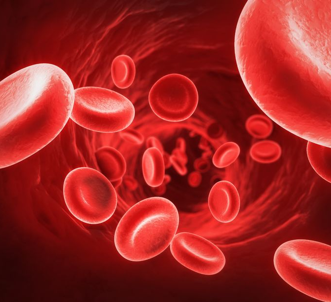 Understanding Key Blood Panel Insights: A Comprehensive Guide